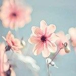 春春