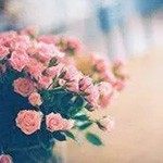 花开四季