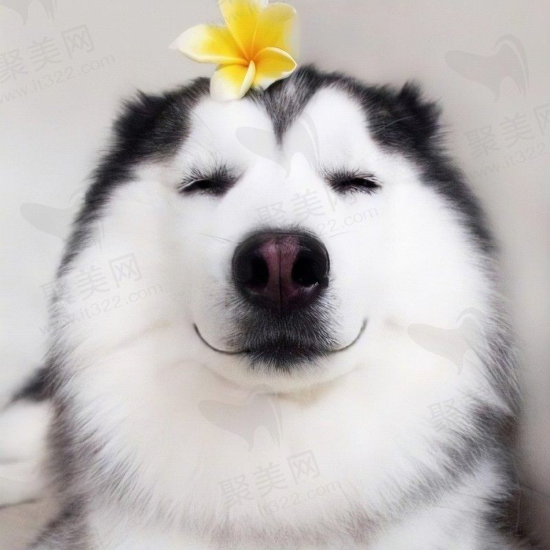 瑶子