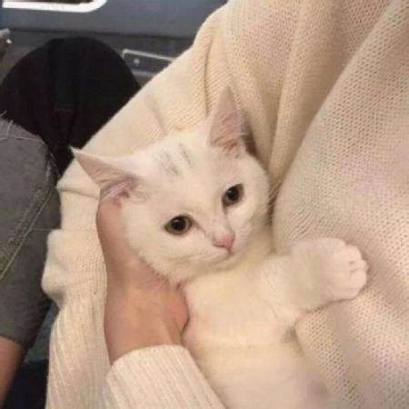 温宁