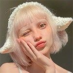 羊了个羊