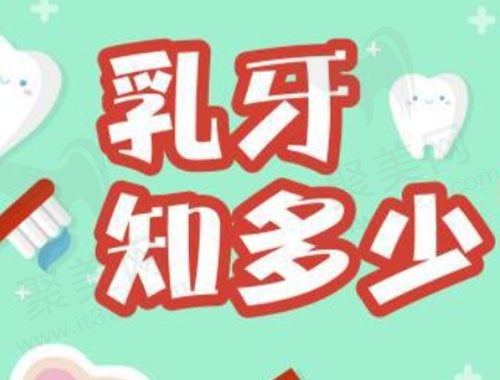 来看乳牙和恒牙区别图片，告诉你怎么辨别乳牙和恒牙？