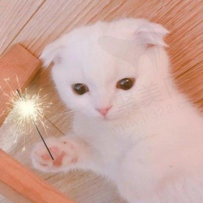云云