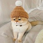 早上起不来