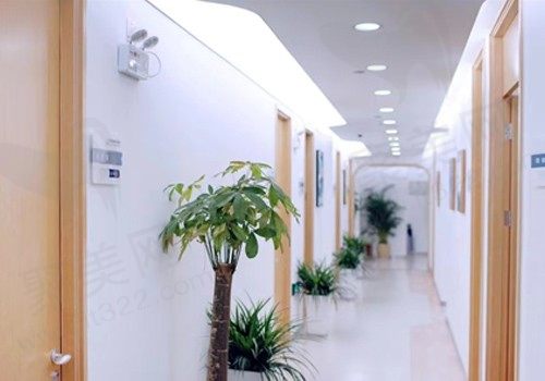 北京丰联丽格整形过道