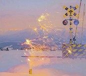 花花