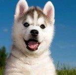 arfhgqerhqerh