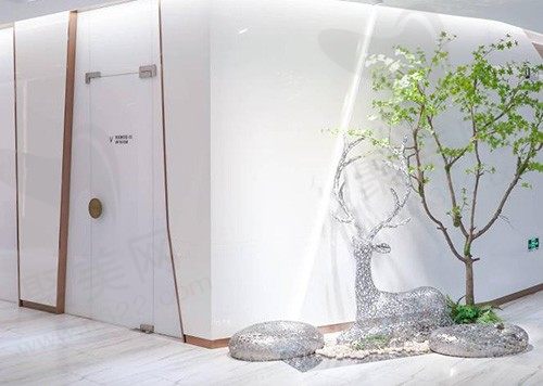 山东淄博丽美整形医院环境