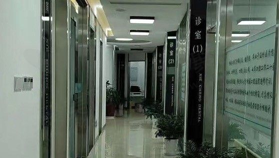 新昌协诚口腔走廊