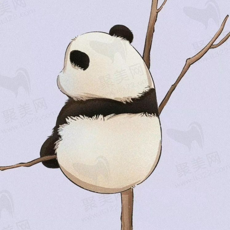柚子