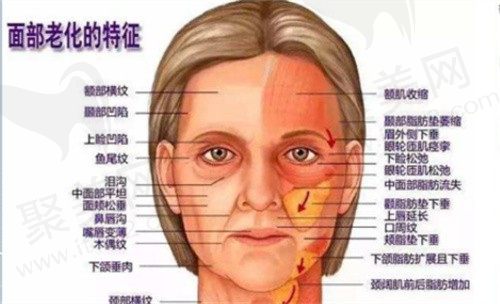 北京北京美媛荟医疗美容电话公布，在线免费咨询李晓东面部提升