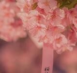 粉嫩少女心