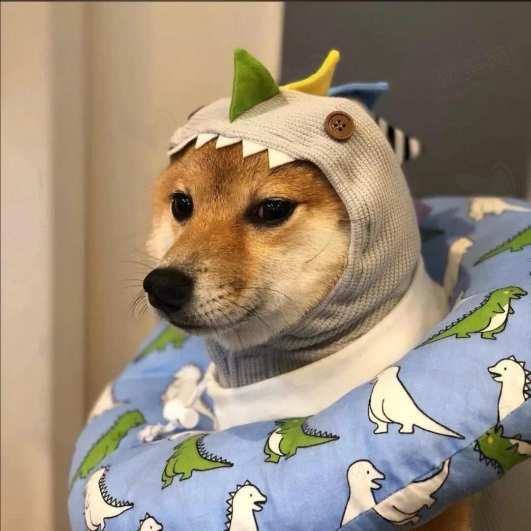 点点