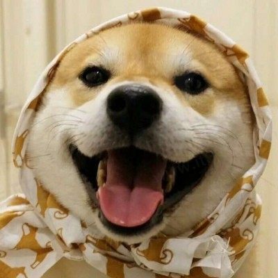 晨晨不哭