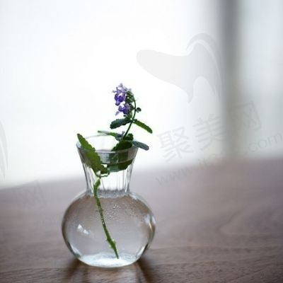 风吹雨打