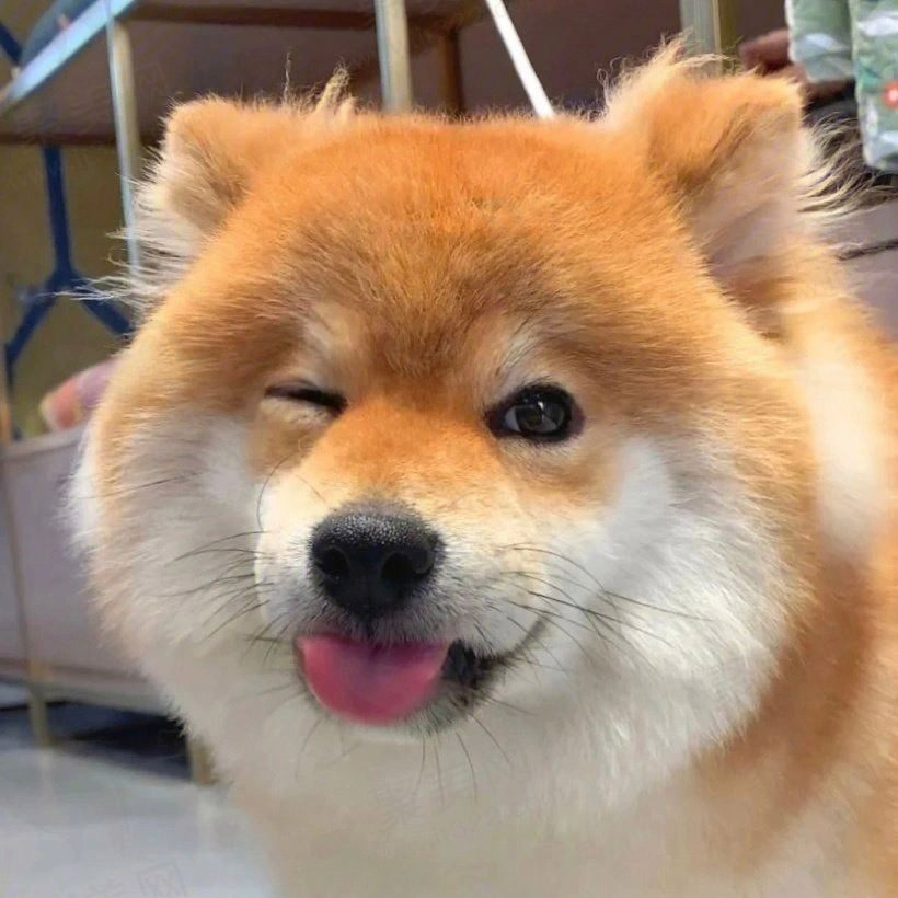 铁憨憨