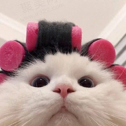 大眼kk