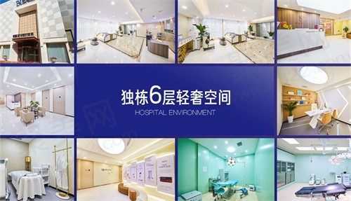 铂恩美学介绍