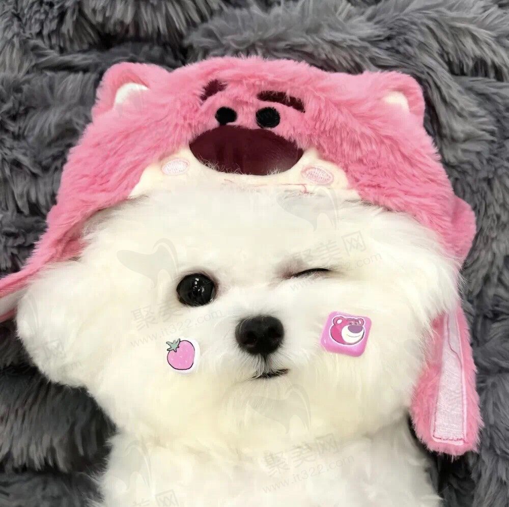 淼仔