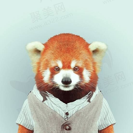 琴悠悠