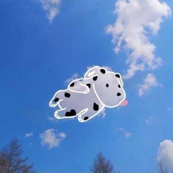 猫九
