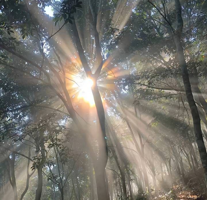 一缕阳光 