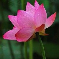 你如温阳