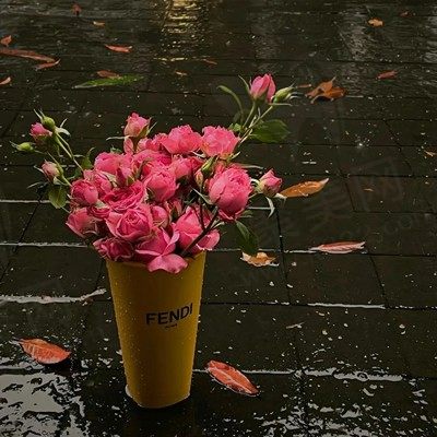 迷茫