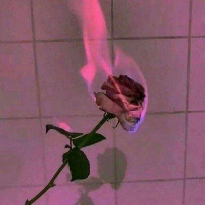 iuyhdhf