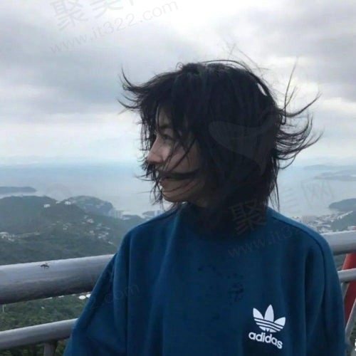 蚂蚁和大象