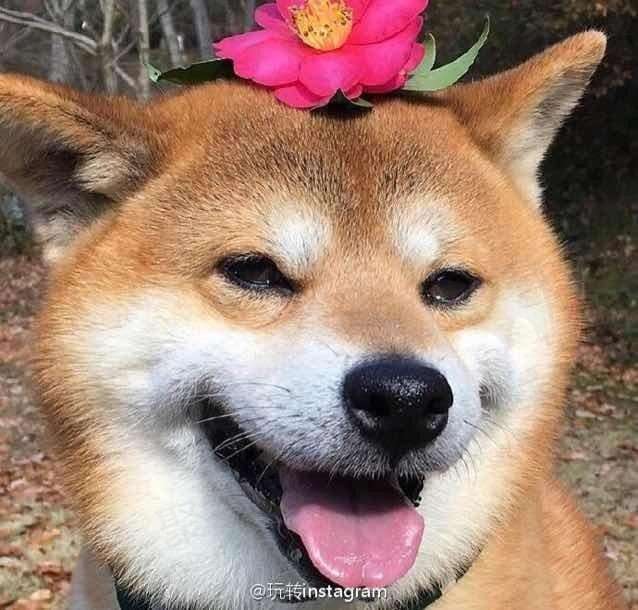 各环节