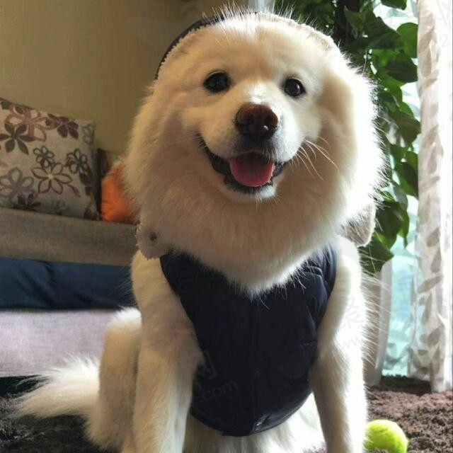 安静静