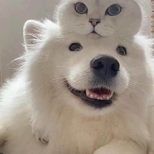 风忙