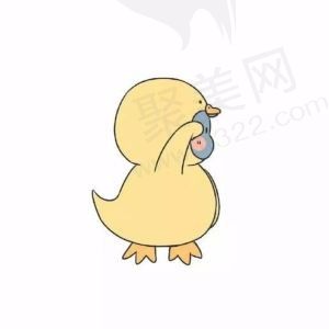 泡泡