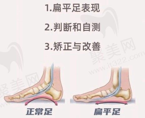 WechatIMG12541
