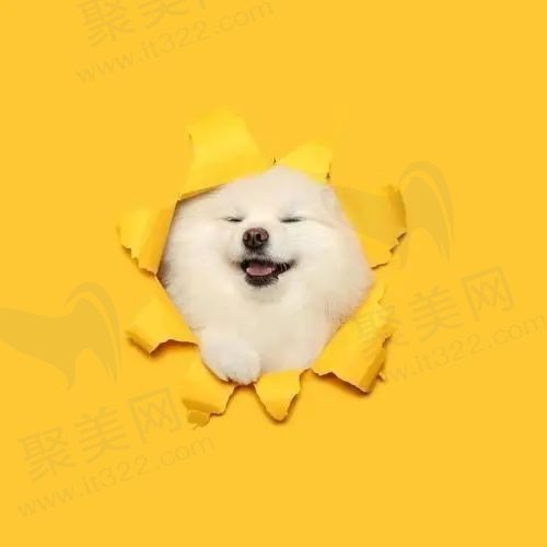 飞