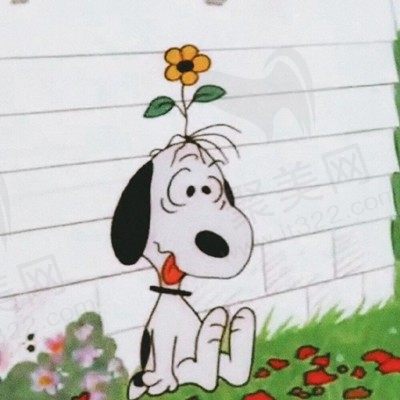 木棉花