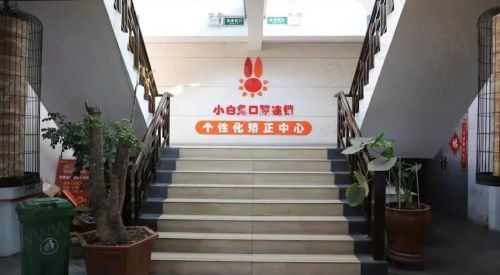 洛阳中州路小白兔口腔楼梯
