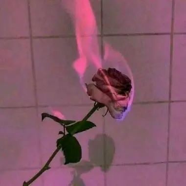 ❀