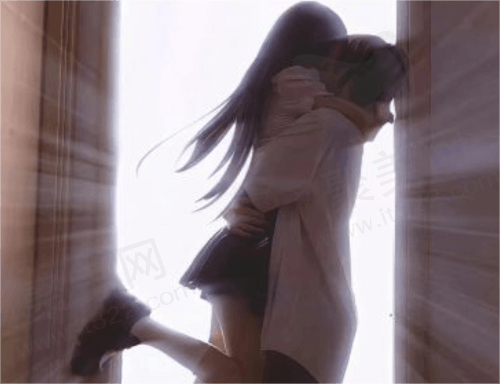 红蜻蜓