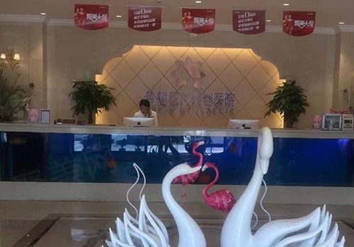 昆明梦想医疗美容医院正规吗？不但正规眼鼻胸价格相当可观