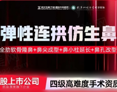 武汉五洲杨水斌做鼻子技术好还不贵，弹性连拱仿生鼻49770元起