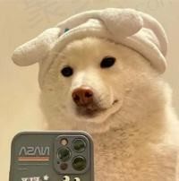好吃使劲吃