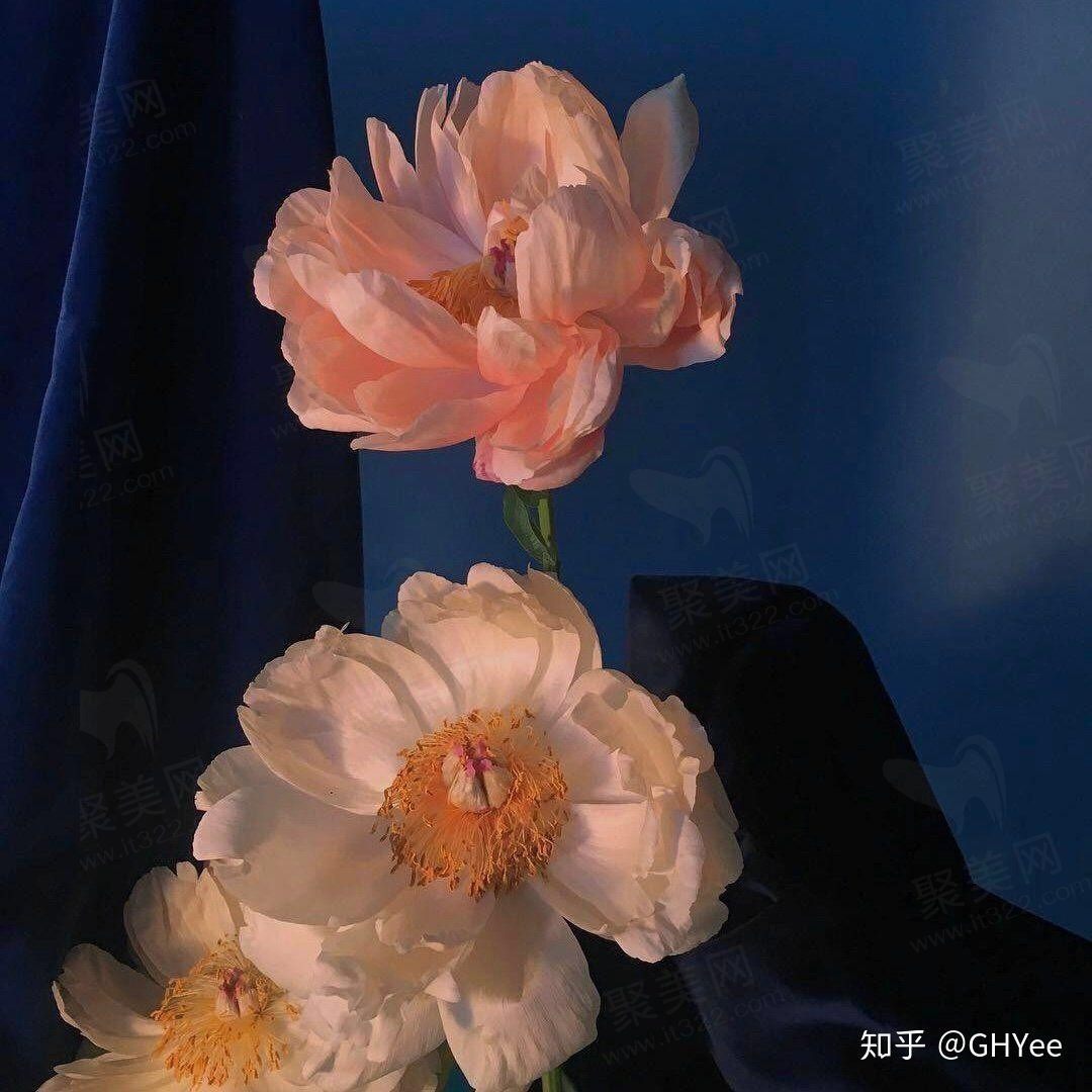 傻了吧唧