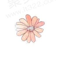 是太阳花呀