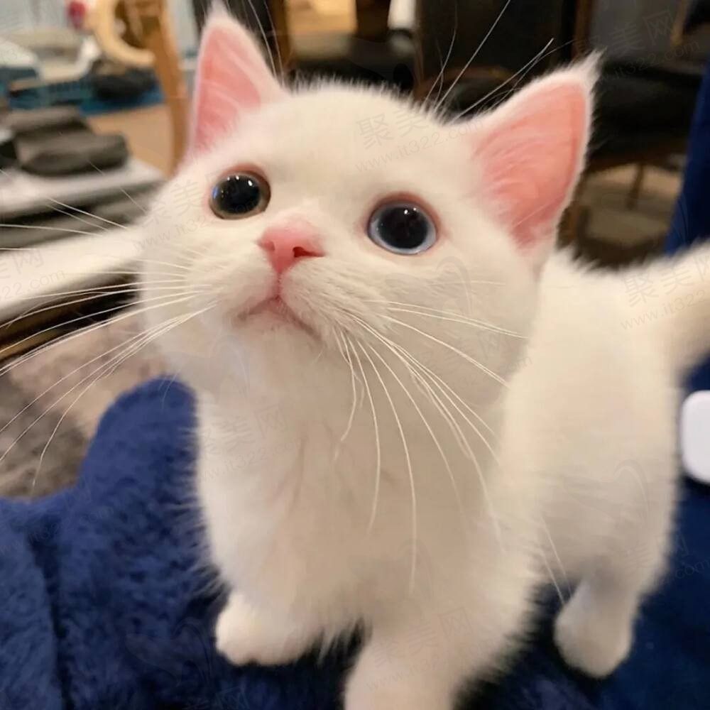 jh