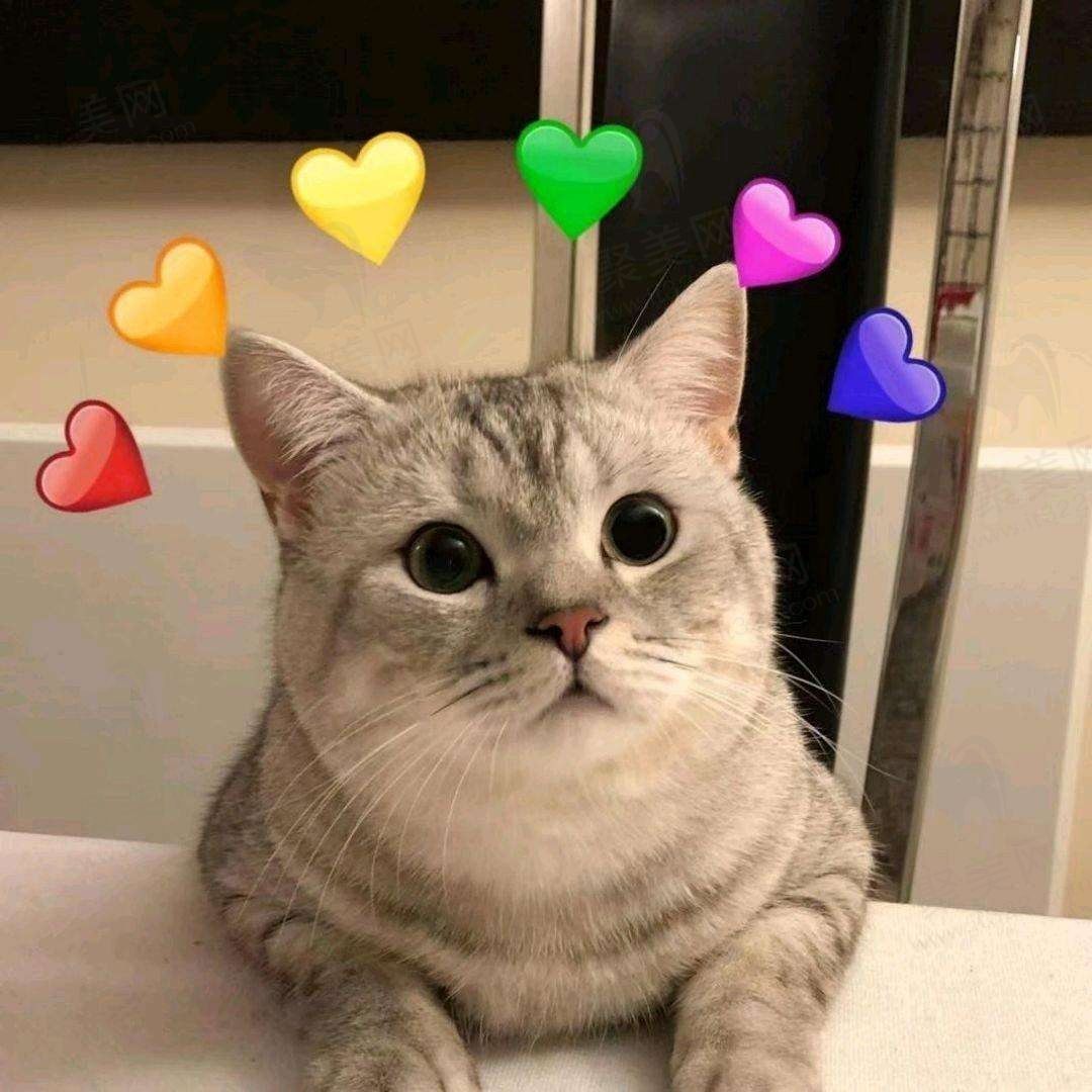 ♯