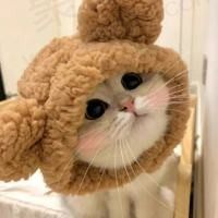艺胀胀