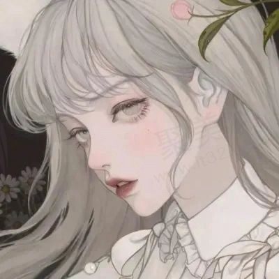 莫蒂哒熊
