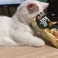 晓晓